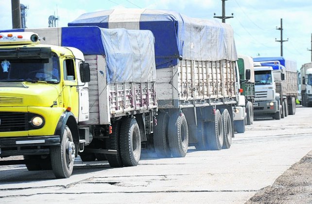 En este momento estás viendo Controlarán el peso de transportes de carga en Elortondo y María Teresa