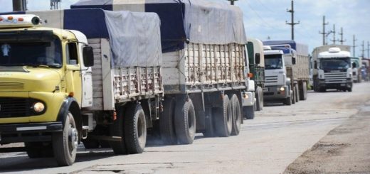 Lee más sobre el artículo Eliminan el Certificado de Libre Deuda Sindical en el transporte de cargas